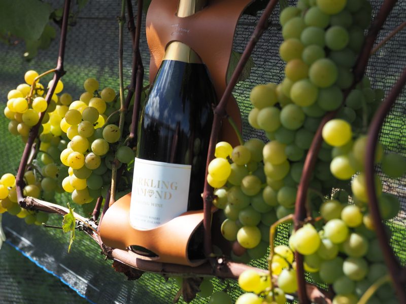 Tan leather wine carrier nestled among green grapes on the vine