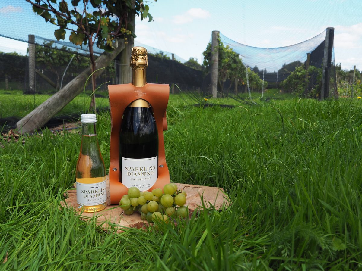 Tan leather wine carrier holding a bottle of sparkling wine in the grass beside the vines