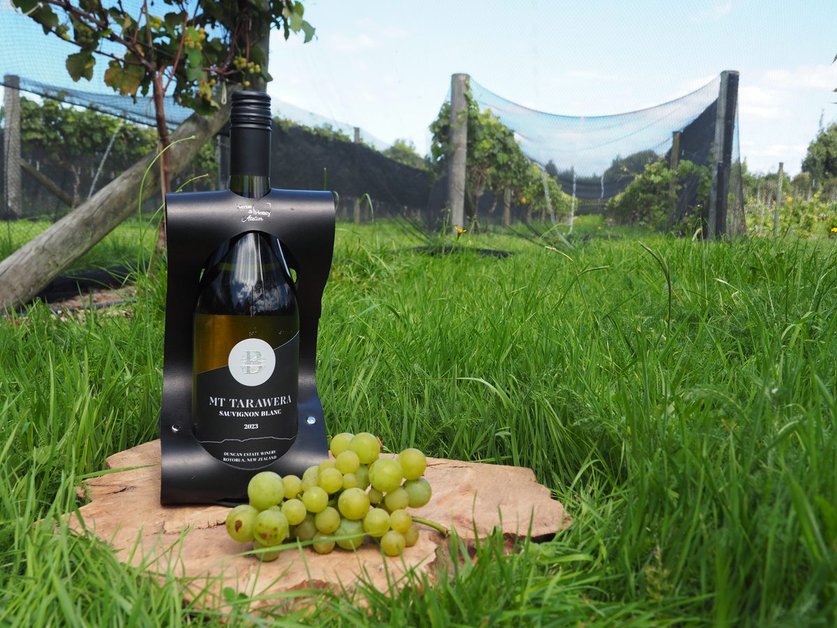 Black leather wine carrier holding a bottle of sauvignon blanc in the vineyard grass